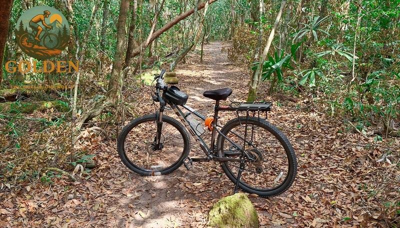 Phu Quoc Jungle Cycling Tour: 16km Off-Road National Park Adventure